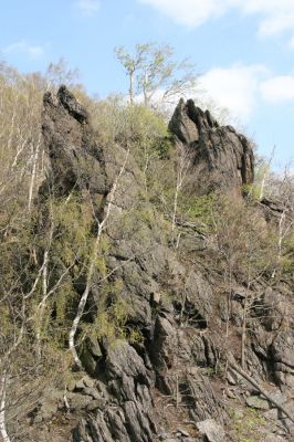 Horní Jiřetín, 24.4.2015
Jezerka.
Klíčová slova: Horní Jiřetín Jezerka Anostirus bohemicus castaneus