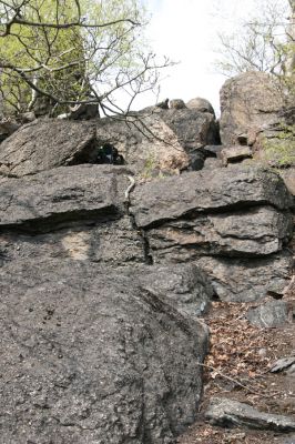 Horní Jiřetín, 24.4.2015
Jezerka.
Klíčová slova: Horní Jiřetín Jezerka Anostirus bohemicus castaneus