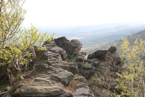 Horní Jiřetín, 24.4.2015
Jezerka.
Klíčová slova: Horní Jiřetín Jezerka Anostirus bohemicus castaneus