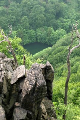 Horní Jiřetín, Jezeří, Jezerka, 26.5.2008
Skalnatý hřbet na západním svahu nad přehradou.
Klíčová slova: Krušné hory Horní Jiřetín Jezeří Jezerka