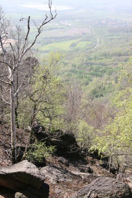 Jezeří, Jezerka, 28.4.2012
Suťový les na západním svahu Jezerky. Pohled na Vysokou Pec.
Klíčová slova: Krušné hory Jezeří Jezerka Anostirus bohemicus