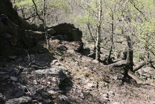 Jezeří, Jezerka, 28.4.2012
Suťový les na západním svahu Jezerky.
Klíčová slova: Krušné hory Jezeří Jezerka Anostirus bohemicus