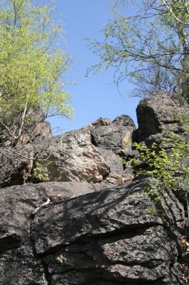 Jezeří, Jezerka, 28.4.2012
Skaliska nad suťovým lesem na západním svahu Jezerky.
Klíčová slova: Krušné hory Jezeří Jezerka Anostirus bohemicus castaneus