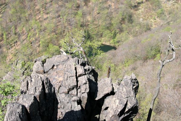 Jezeří, Jezerka, 28.4.2012
Skalnatý hřbet v suťovém lese na západním svahu Jezerky.
Klíčová slova: Krušné hory Jezeří Jezerka