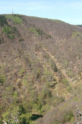 Jezeří, Jezerka, 28.4.2012
Pohled z Jezerky na Jedlovou.
Klíčová slova: Krušné hory Jezeří Jezerka Jedlová