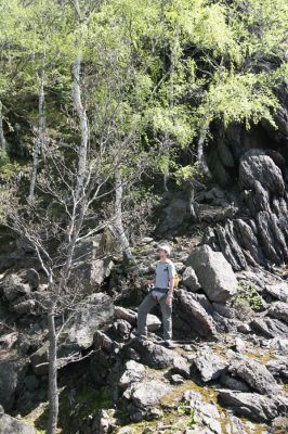 Jezeří, Jezerka, 28.4.2012
Suťový les na západním svahu Jezerky. Na lovu kovaříků Anostirus bohemicus.
Klíčová slova: Krušné hory Jezeří Jezerka Anostirus bohemicus Brůha