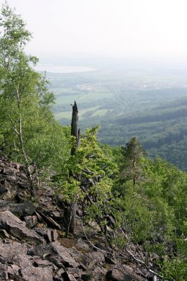 Horní Jiřetín, Jezeří, Jezerka, 9.5.2009
Suťoviště na západním svahu.
Schlüsselwörter: Horní Jiřetín Jezeří Jezerka