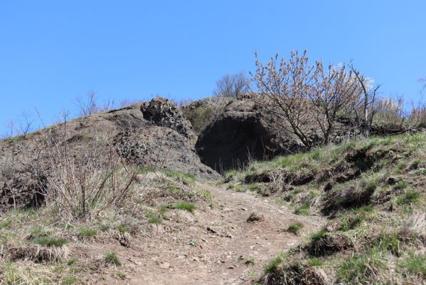 Jičín, 27.4.2021
Vrch Zebín - cesta k vrcholu. 
Keywords: Jičín Zebín