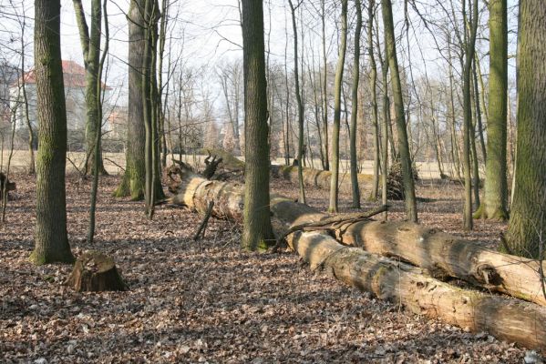 Jičín, 25.3.2018
Libosad.
Mots-clés: Jičín Libosad