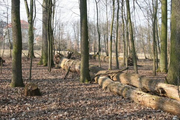 Jičín, 25.3.2018
Libosad.
Schlüsselwörter: Jičín Libosad