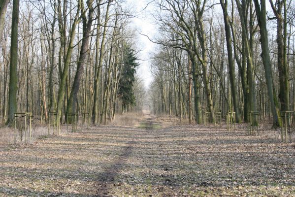 Jičín, 25.3.2018
Libosad.
Klíčová slova: Jičín Libosad