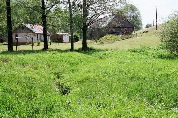 Jívka, 25.5.2003
Horní Vernéřovice, niva u Dřevíče.
Mots-clés: Jívka Horní Vernéřovice Dřevíč Aplotarsus angustulus