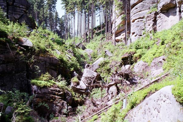 Jívka, 30.5.2003
Adršpašskoteplické-skály, Vlčí rokle - Ptačí příkop.
Klíčová slova: Jívka Adršpašskoteplické-skály Vlčí rokle Ptačí příkop