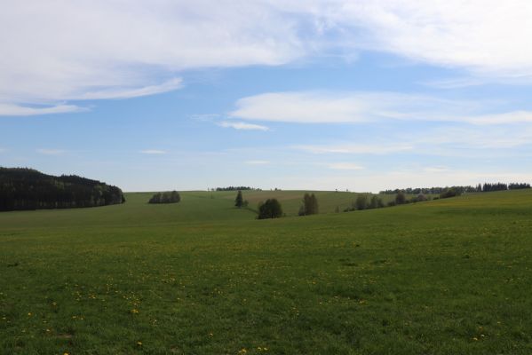 Jívka, 8.5.2020
Hodkovice - údolí s pramenem Metuje.
Keywords: Jívka Hodkovice pramen Metuje