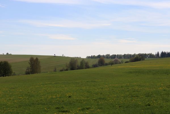 Jívka, 8.5.2020
Hodkovice - údolí s pramenem Metuje.
Klíčová slova: Jívka Hodkovice pramen Metuje