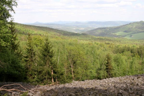 Jílové, Holý vrch, 8.5.2015
Labské pískovce. Pohled z Holého vrchu k východu.



Klíčová slova: Jílové Labské pískovce Holý vrch Idolus picipennis Anostirus purpureus