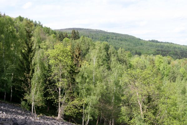 Jílové, Holý vrch, 8.5.2015
Labské pískovce - Holý vrch. Pohled na Dečínský Sněžník.



Klíčová slova: Jílové Labské pískovce Holý vrch Dečínský Sněžník