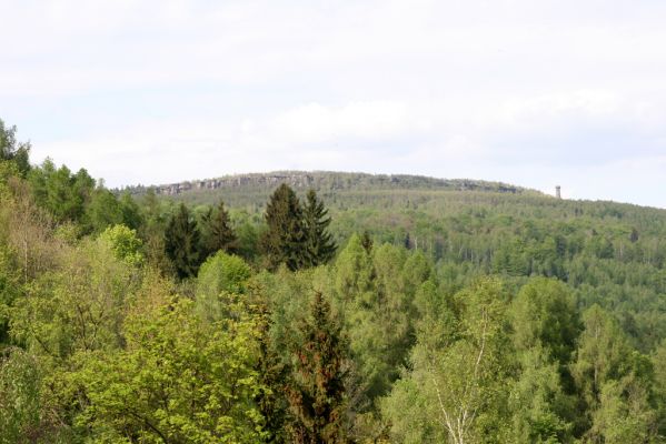 Jílové, Holý vrch, 8.5.2015
Labské pískovce - Holý vrch. Pohled na Dečínský Sněžník.



Klíčová slova: Jílové Labské pískovce Holý vrch Dečínský Sněžník