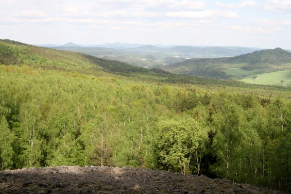 Jílové, Holý vrch, 8.5.2015
Labské pískovce - Holý vrch. Pohled k východu.



Klíčová slova: Jílové Labské pískovce Holý vrch