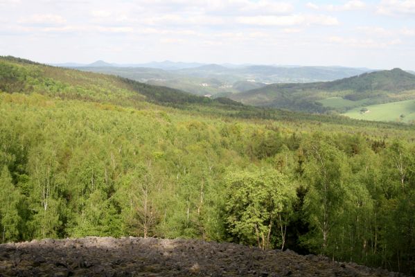 Jílové, Holý vrch, 8.5.2015
Labské pískovce - Holý vrch. Pohled k východu.



Keywords: Jílové Labské pískovce Holý vrch