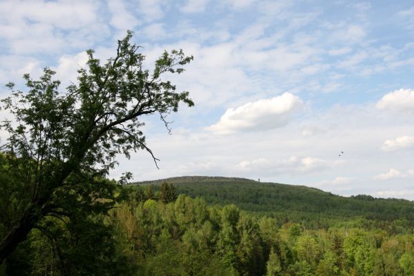 Jílové, Holý vrch, 8.5.2015
Labské pískovce - Holý vrch. Pohled na Dečínský Sněžník.
Schlüsselwörter: Jílové Labské pískovce Holý vrch Dečínský Sněžník