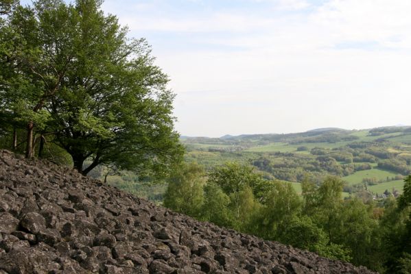 Jílové, Holý vrch, 8.5.2015
Labské pískovce - Holý vrch. Suťové pole na jižním svahu - pohled k východu.



Klíčová slova: Jílové Labské pískovce Holý vrch Idolus picipennis