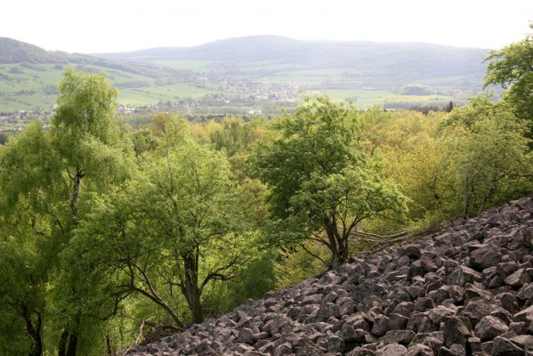 Jílové, Holý vrch, 8.5.2015
Labské pískovce - Holý vrch. Suťové pole na jižním svahu - pohled k východu.



Klíčová slova: Jílové Labské pískovce Holý vrch Idolus picipennis