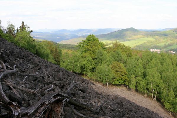 Jílové, Holý vrch, 8.5.2015
Labské pískovce - Holý vrch. Suťové pole na jižním svahu - pohled k východu.



Klíčová slova: Jílové Labské pískovce Holý vrch Idolus picipennis