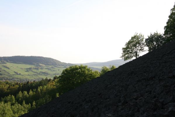 Jílové, Holý vrch, 8.5.2015
Labské pískovce. Pohled z Holého vrchu k západu.
 

Klíčová slova: Jílové Labské pískovce Holý vrch Idolus picipennis