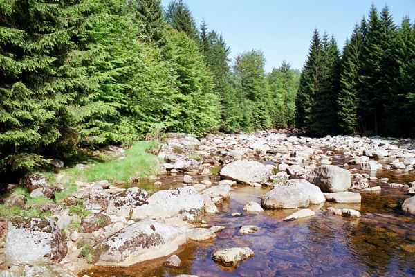 Jizerské hory, Jizera, 29.5.2003
Kamenité řečiště Jizery u Kořanova
Mots-clés: Jizerské hory Jizera