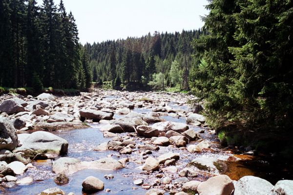 Jizerské hory, Jizera, 29.5.2003
Kamenité koryto Jizery u soutoku s Jizerkou.
Mots-clés: Jizerské hory Jizera