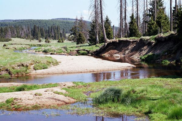 Jizerské hory, Jizera, 29.5.2003
Velká Jizerská louka - meandry Jizery. Biotop kovaříka Zorochros dermestoides.
Mots-clés: Jizerské hory Jizera Velká Jizerská louka Zorochros dermestoides