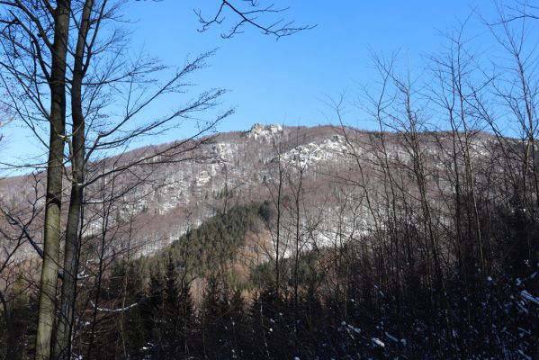 Bílý Potok, 13.2.2022
Paličník od Smědavské hory.
Mots-clés: Bílý Potok údolí Smědé