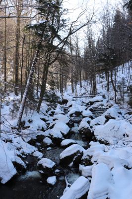 Bílý Potok, 13.2.2022
Údolí Smědé nad Šindelovým dolem.
Keywords: Bílý Potok údolí Smědé