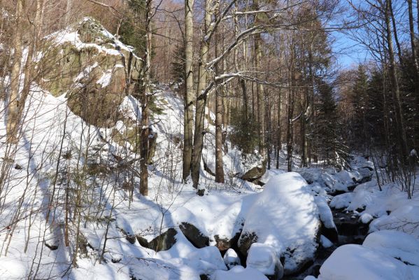 Lázně Libverda, 13.2.2022
Údolí Hájeného potoka pod skalním masivem Koráb.
Klíčová slova: Lázně Libverda Hájený potok skalní masiv Koráb