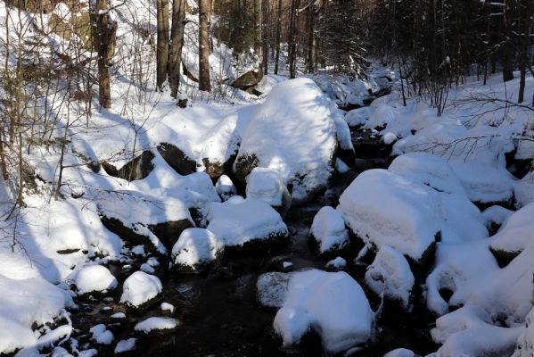 Lázně Libverda, 13.2.2022
Údolí Hájeného potoka pod skalním masivem Koráb.
Klíčová slova: Lázně Libverda Hájený potok skalní masiv Koráb