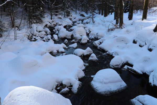 Lázně Libverda, 13.2.2022
Údolí Hájeného potoka pod skalním masivem Koráb.
Schlüsselwörter: Lázně Libverda Hájený potok skalní masiv Koráb