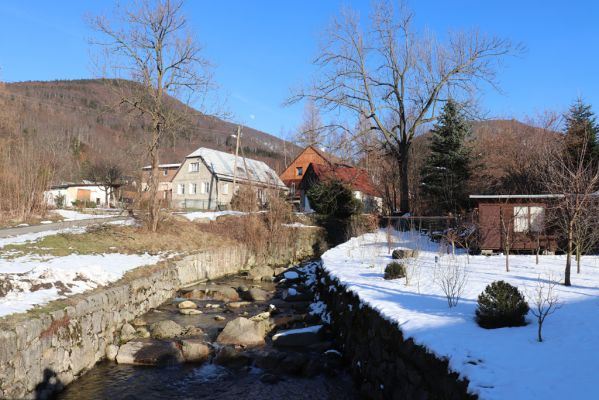 Bílý Potok, 13.2.2022
Bílý Potok, vrchy Tišina a Paličník.
Klíčová slova: Bílý Potok vrch Tišina Paličník