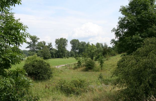 Jaroměř - Josefov, 21.7.2009
Třešňovka a stepi na severním svahu pevnosti.
Klíčová slova: Jaroměř Josefov