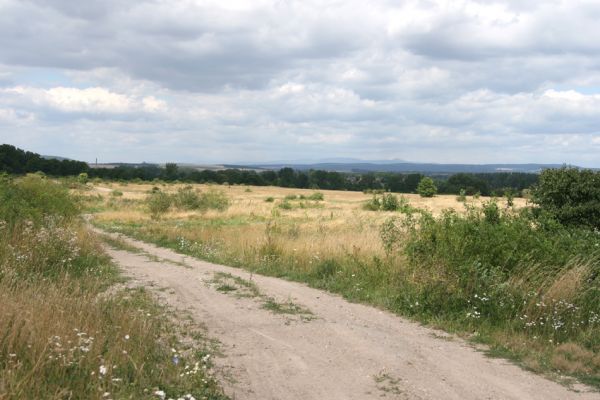 Jaroměř - Josefov, 5.8.2008
Bývalé vojenské cvičiště. Plocha v péči ČSOP JARO Jaroměř. Na obzoru hřeben Krkonoš.
Klíčová slova: Jaroměř Josefov step