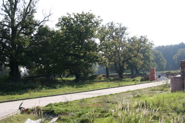 Klátova Nová Ves, 10.10.2014
Pastevní les Cibajky u salaše. 
Keywords: Klátova Nová Ves pastevní les Cibajky