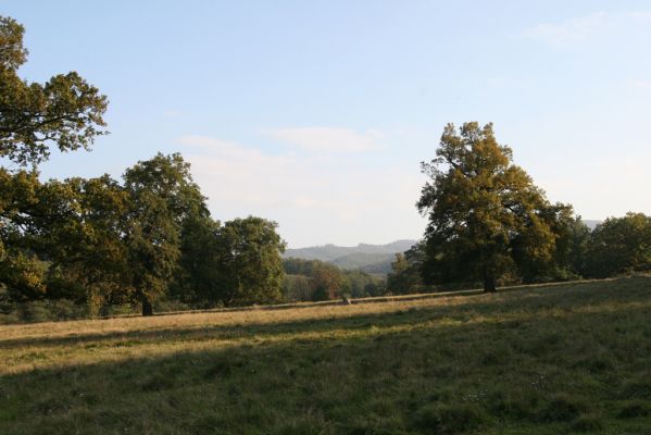 Klátova Nová Ves, 10.10.2014
Pastevní les Cibajky.
Schlüsselwörter: Klátova Nová Ves pastevní les Cibajky