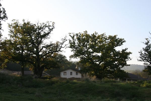 Klátova Nová Ves, 10.10.2014
Pastevní les Cibajky u salaše.
Klíčová slova: Klátova Nová Ves pastevní les Cibajky