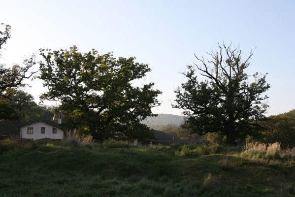 Klátova Nová Ves, 10.10.2014
Pastevní les Cibajky u salaše.
Klíčová slova: Klátova Nová Ves pastevní les Cibajky