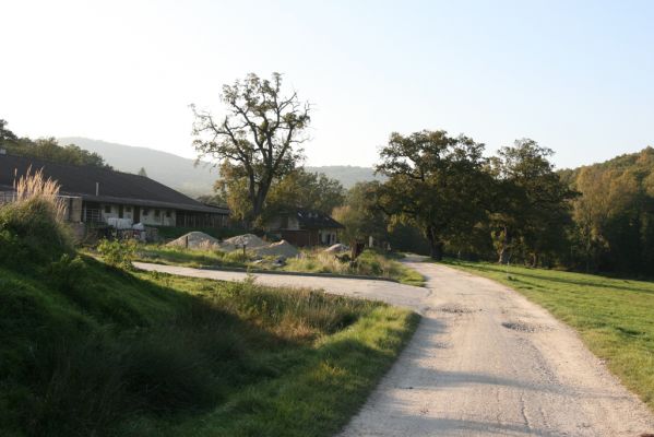 Klátova Nová Ves, 10.10.2014
Pastevní les Cibajky u salaše.
Klíčová slova: Klátova Nová Ves pastevní les Cibajky