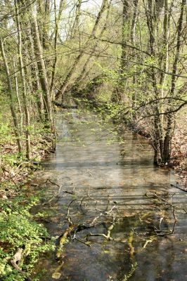 Svatý Mikuláš, Kačina, 14.4.2008
Stará Klejnárka.
Mots-clés: Svatý Mikuláš Kačina Stará Klejnárka