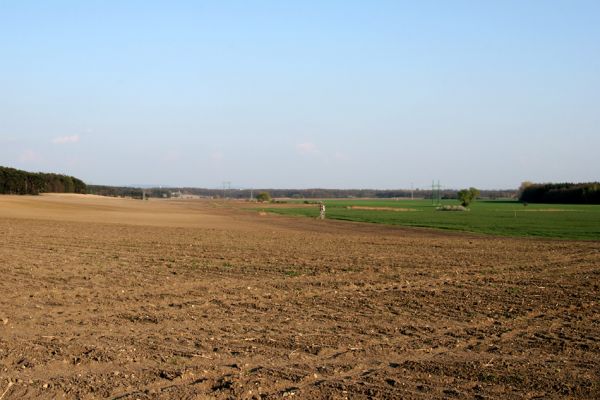 Svatý Mikuláš, Kačina, 14.4.2008
Pohled na Kačinu od Starého Kolína.
Klíčová slova: Svatý Mikuláš Starý Kolín Kačina bažantnice