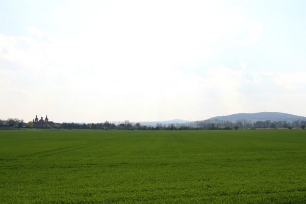 Svatý Mikuláš, Kačina, 14.4.2008
Pohled od Kačiny na Nové Dvory a vrch Kaňk.
Mots-clés: Svatý Mikuláš Kačina Nové Dvory Kaňk