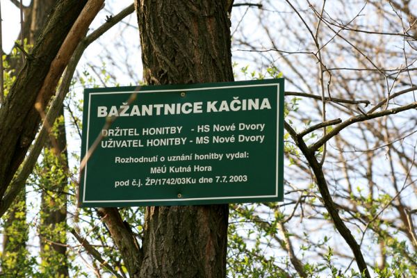 Svatý Mikuláš, Kačina, 14.4.2008
Jihozápadní okraj bažantnice.
Klíčová slova: Svatý Mikuláš Kačina bažantnice