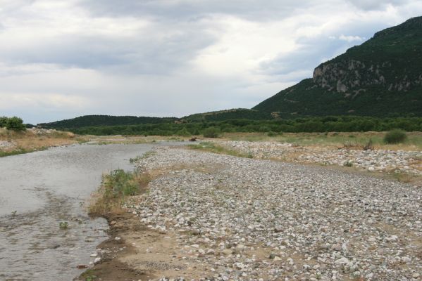 Kalambaka, 7.6.2008
Štěrkové náplavy řeky Piniós u obce Diáva. Biotop kovaříků Zorochros alysidotus, Z. kourili a Z. meridionalis.
Klíčová slova: Kalambaka Diáva Piniós river Zorochros alysidotus kourili meridionalis